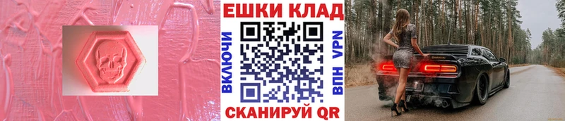 ЭКСТАЗИ Philipp Plein  сколько стоит  Богучар 