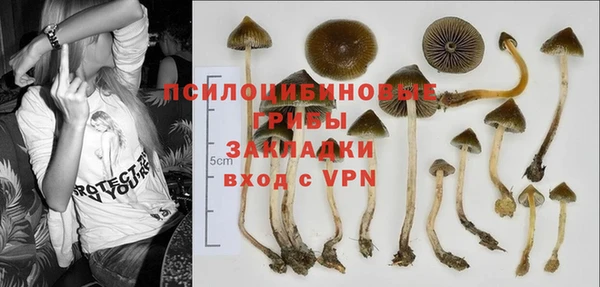 прущие крисы Богородицк