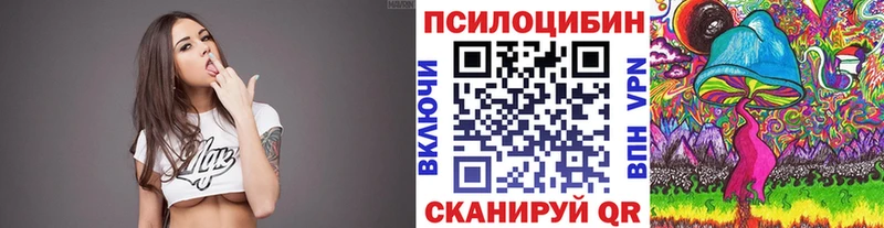 купить   Богучар  Галлюциногенные грибы GOLDEN TEACHER 